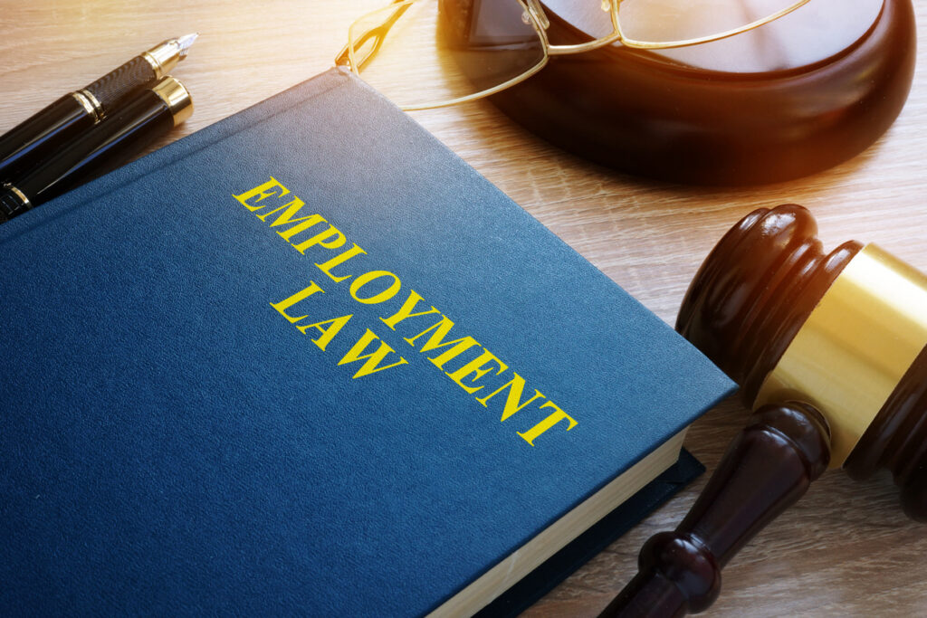 Employment Law Attorney